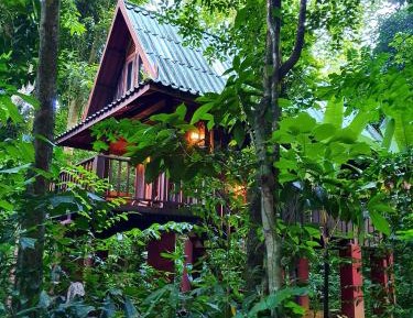 Treehouse Quad