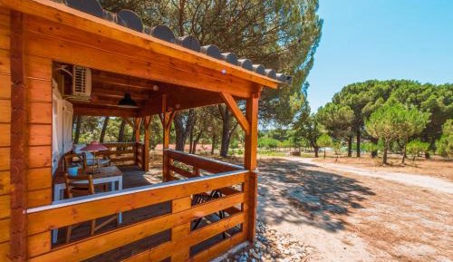 Deluxe Bungalow with Garden View