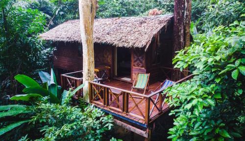 Treehouse Family