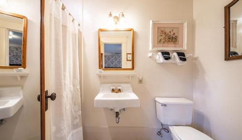 King Room with Garden View