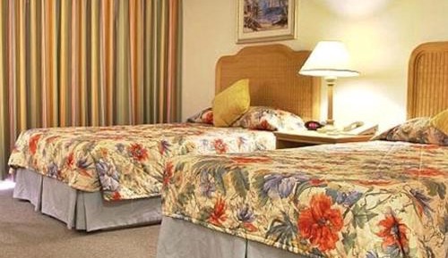 Double Room with Two Double Beds