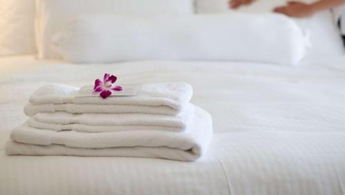 Double Room with Two Double Beds