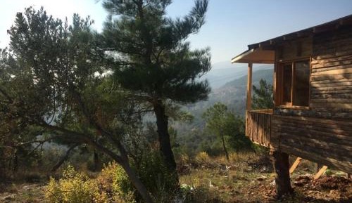 Triple Room with View