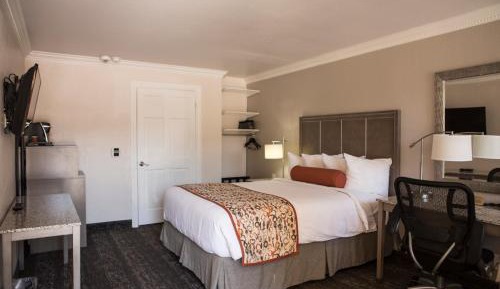 1 Queen Bed Accessible Non Smoking