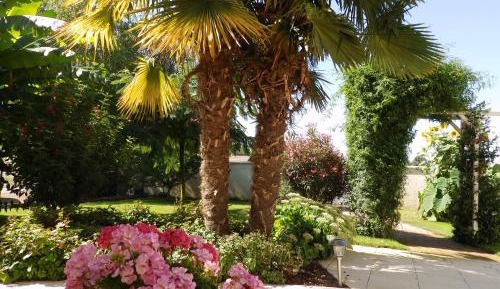 Family Room with Private Bathroom