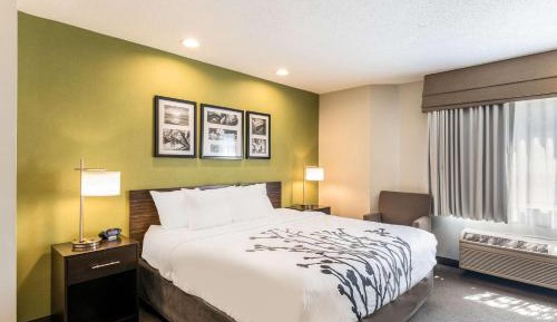 King Room