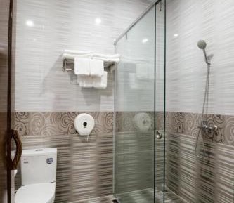 Large Single Room