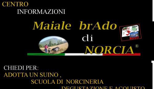 Small Double or Twin Room