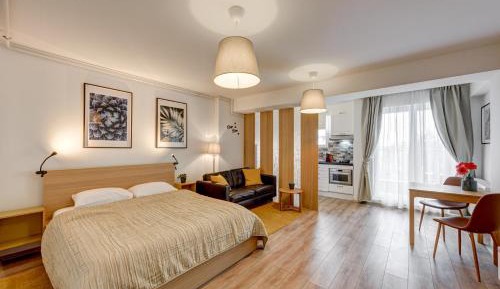 Studio Apartment