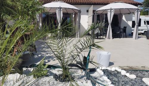 Apartment with Garden View