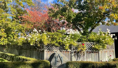 Queenstown Escape - Premier Double Room