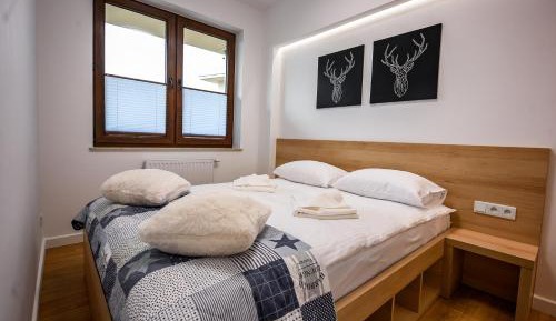 One-Bedroom Apartment with Paid Garage