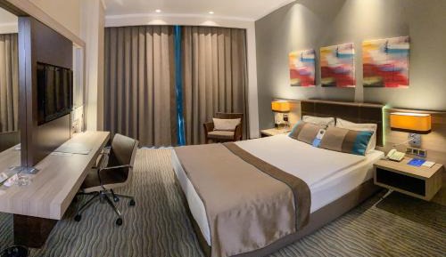 Standard Single Room