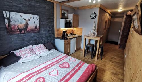 Studio Apartment