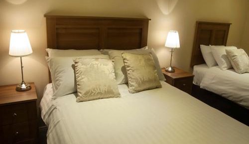 Deluxe One-Bedroom Apartment
