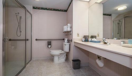 Standard King Room with Roll-In Shower - Communications Access