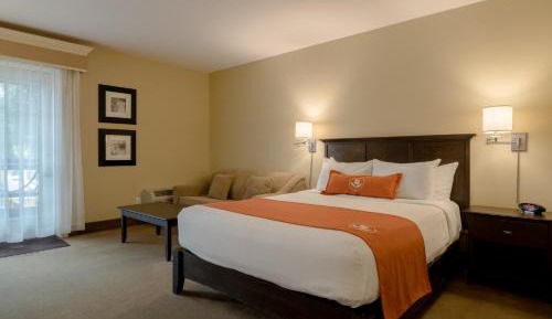 Standard Queen Room