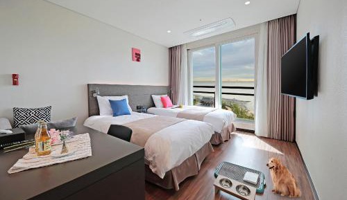 Premier Twin Pet Room - Park Ocean View with Terrace 