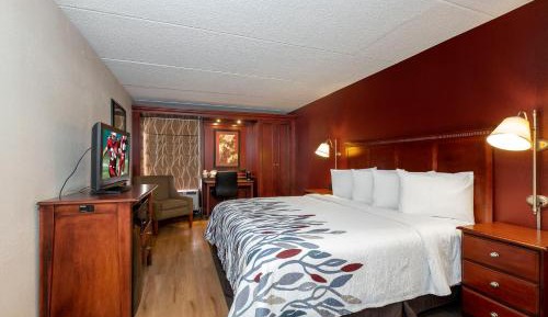 Standard King Room Smoke Free