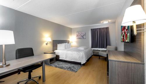 Premium King Room Smoke Free (Upgraded Bedding and Snack Box)