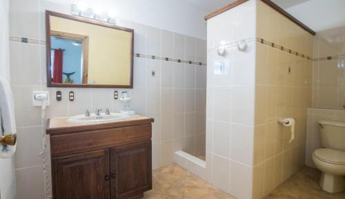 King Room with Garden View