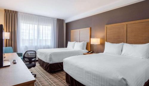 Queen Room with Two Queen Beds - Non-Smoking
