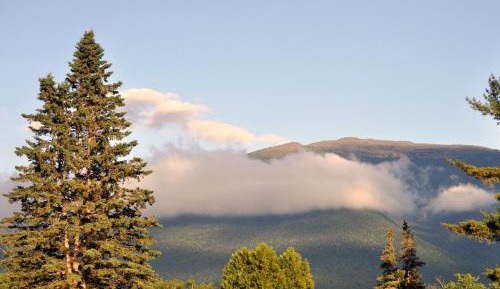 Cabin with One Double Bed and One Bunk Bed