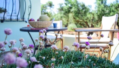 One-Bedroom Apartment with Garden View