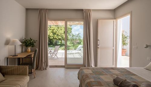 Superior Deluxe Double or Twin Room 