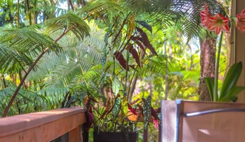 Villa with Garden View