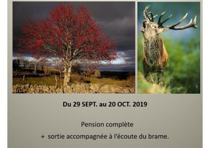 Chambre Double - Pack Brame du Cerf