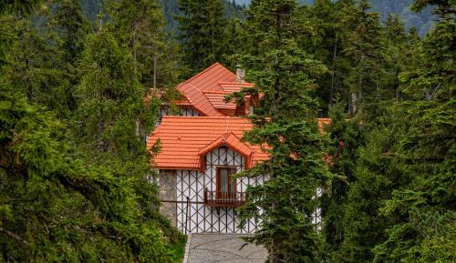 Superior Villa