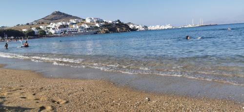 Studio with Garden View