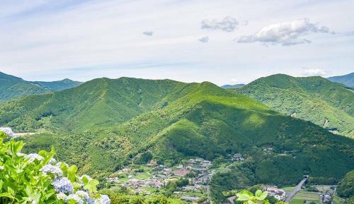 Superior Japanese-Style Room