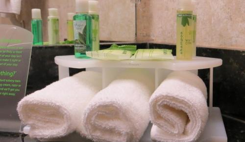 Suite with Mobility Accessible Tub - Non-Smoking