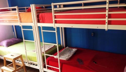 Bed in 8-Bed Mixed Dormitory Room