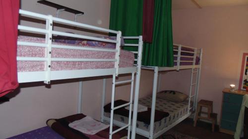 Bunk Bed in Mixed Dormitory Room
