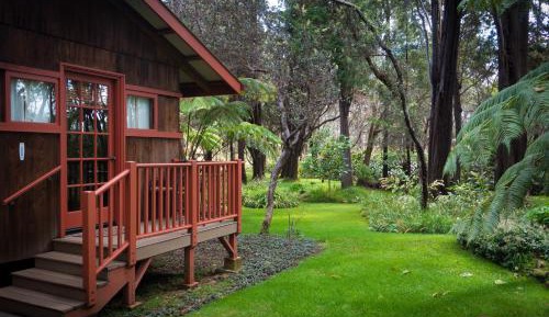 Apartment with Garden View