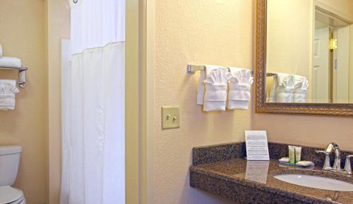 One-Bedroom King Suite with Kitchen