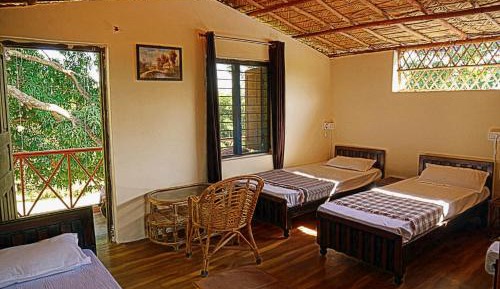 Bed in 4-Bed Female Dormitory Room