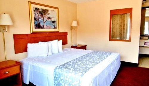 1 King Bed Non-Smoking