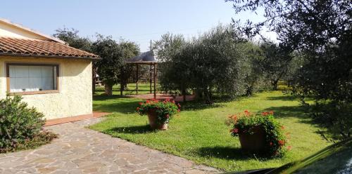 Villa with Garden View