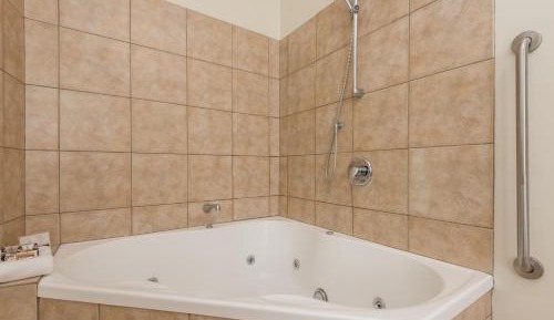 Executive One-Bedroom Apartment with Spa Bath