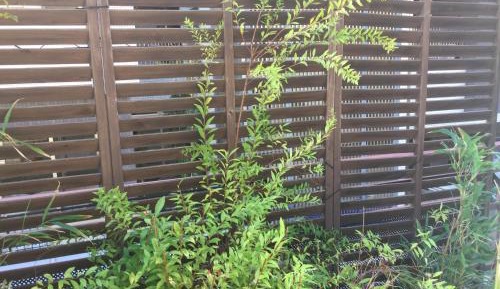 Twin Room with Patio