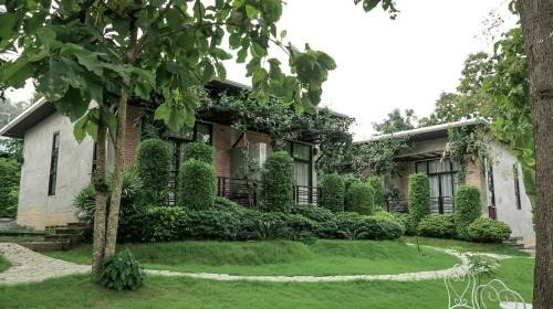 King Room with Garden View