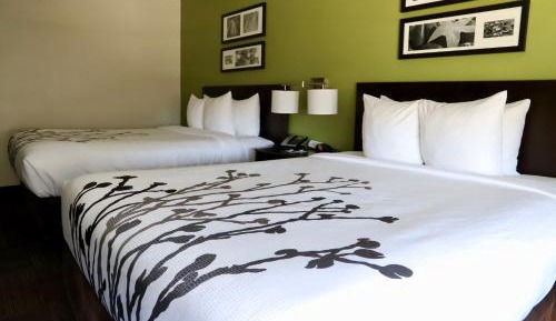 Queen Room with Two Queen Beds - Non-Smoking