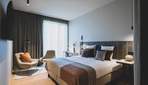 Deluxe King Room with Wellness Access