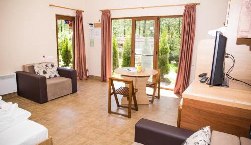 Studio with Garden View