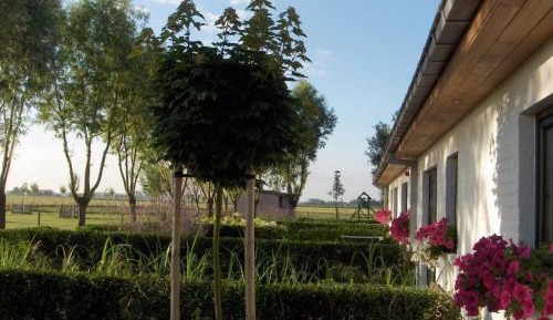 Family Room with Garden View and Terrace