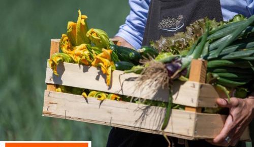 Standard Double Room with Spa Access